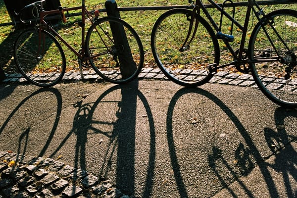 La bicicletta da mezzo di trasporto a “sistema” economico